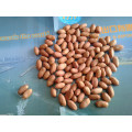 Food Grade Raw Peanut Kernel Groundnut Kernel